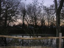 Wakehurst at dusk